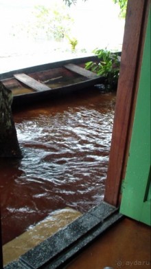 Бразилия по-простому. 10. Потоп, анаконда, ленивец.