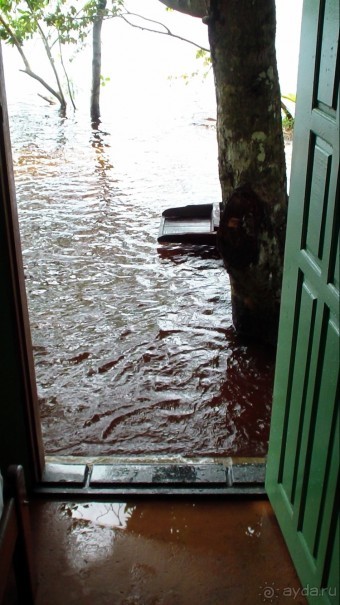 Альбом отзыва "Бразилия по-простому. 10. Потоп, анаконда, ленивец."