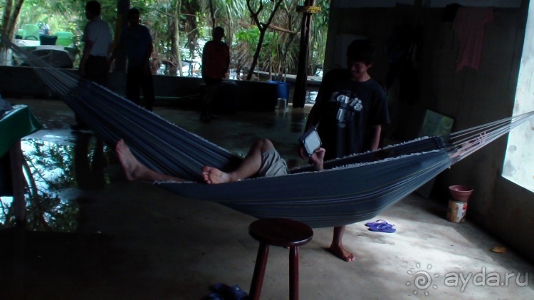 Альбом отзыва "Бразилия по-простому. 10. Потоп, анаконда, ленивец."