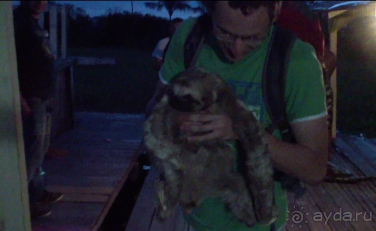 Бразилия по-простому. 10. Потоп, анаконда, ленивец.