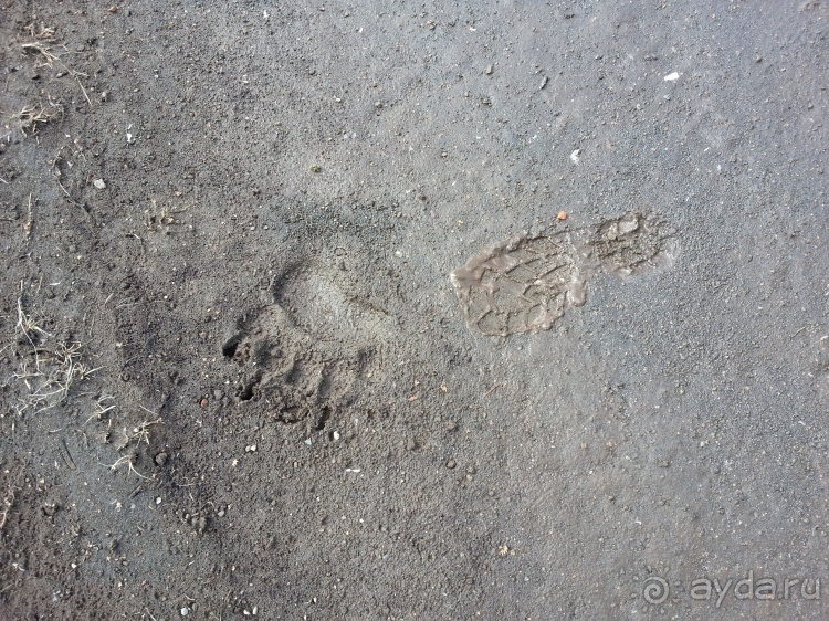 Наш полуостров. 1. Обзор тура и самый известный пляж.