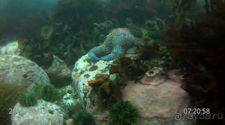 Наш полуостров. 1. Обзор тура и самый известный пляж.