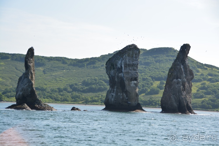Наш полуостров. 1. Обзор тура и самый известный пляж.