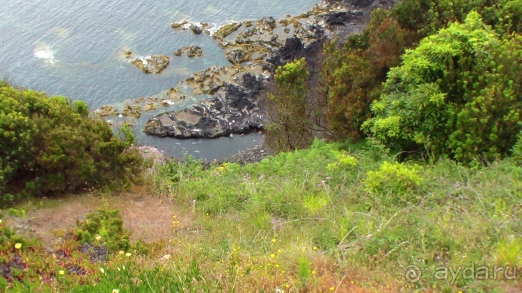 Азоры это шо?" и "Aзоры это хде"? Остров 1.Sao Miguel