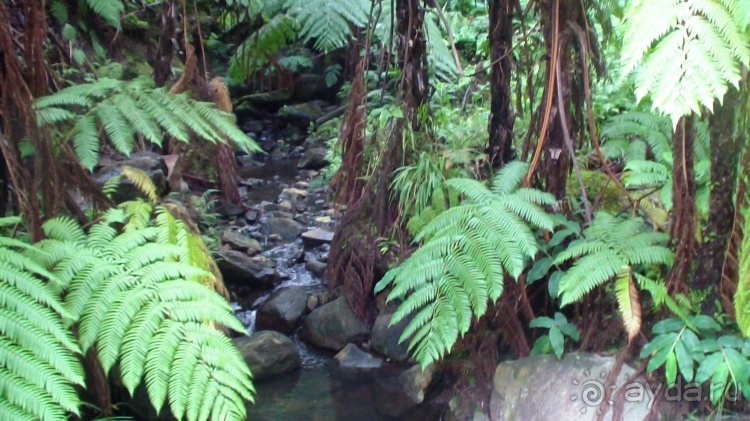 Азоры это шо?" и "Aзоры это хде"? Остров 1.Sao Miguel