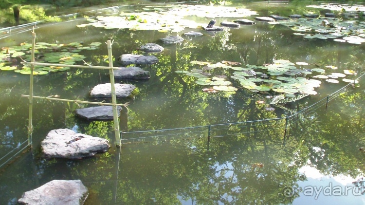 Азоры это шо?" и "Aзоры это хде"? Остров 1.Sao Miguel