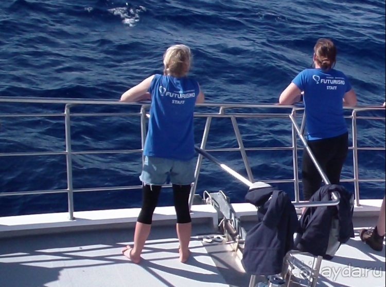 Азоры это шо?" и "Aзоры это хде"? Остров 1.Sao Miguel