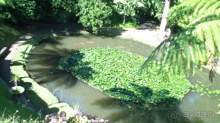 Азоры это шо?" и "Aзоры это хде"? Остров 1.Sao Miguel