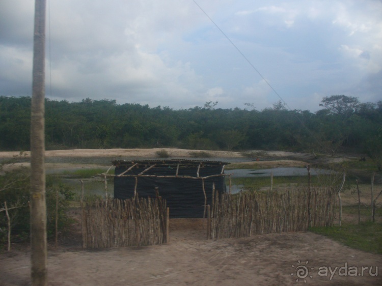 Альбом отзыва "Бразилия по-простому. 11. Первые впечатления от севера"