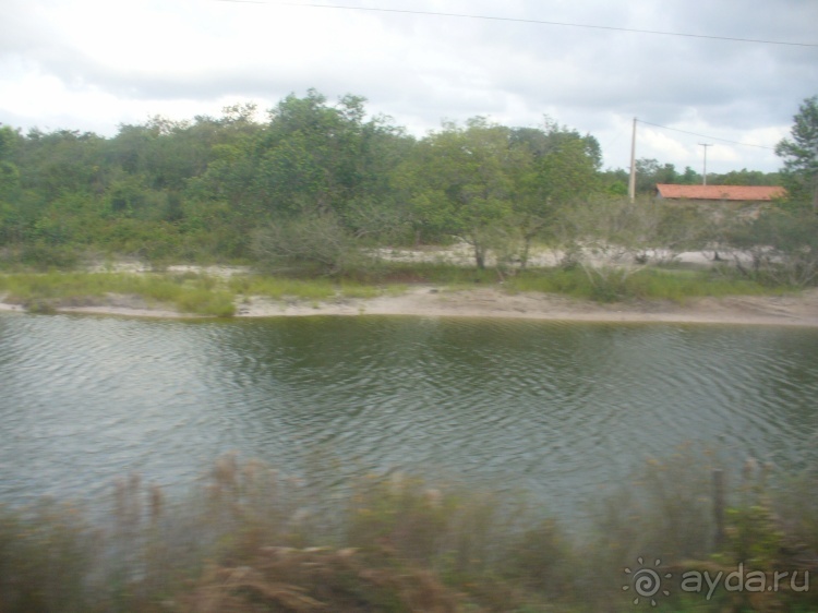 Альбом отзыва "Бразилия по-простому. 11. Первые впечатления от севера"