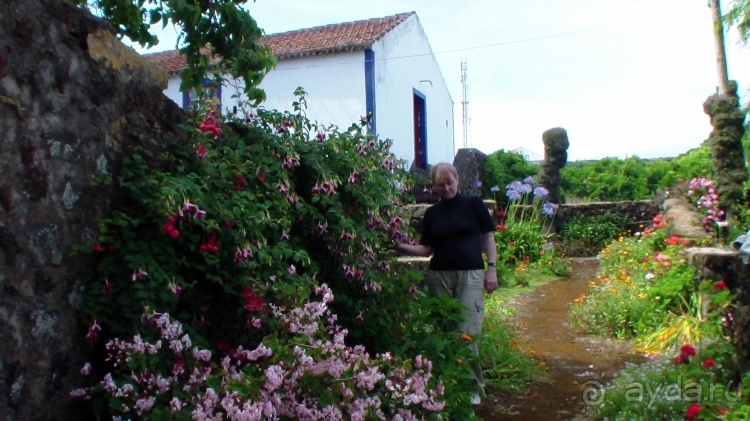 "Азоры это шо?" и "Азоры это хде?". Остров 8. Terceira