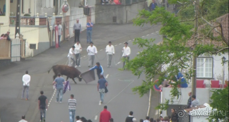 "Азоры это шо?" и "Азоры это хде?". Остров 8. Terceira