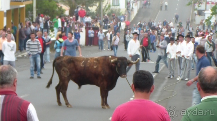 "Азоры это шо?" и "Азоры это хде?". Остров 8. Terceira