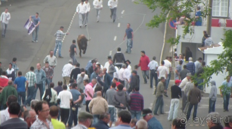 "Азоры это шо?" и "Азоры это хде?". Остров 8. Terceira