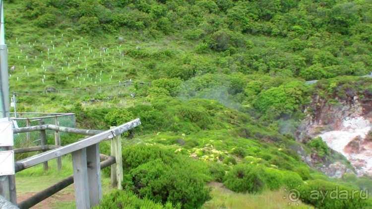 "Азоры это шо?" и "Азоры это хде?". Остров 8. Terceira