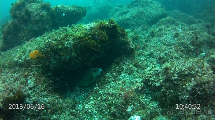 "Азоры это шо?" и "Азоры это хде?". Остров 8. Terceira