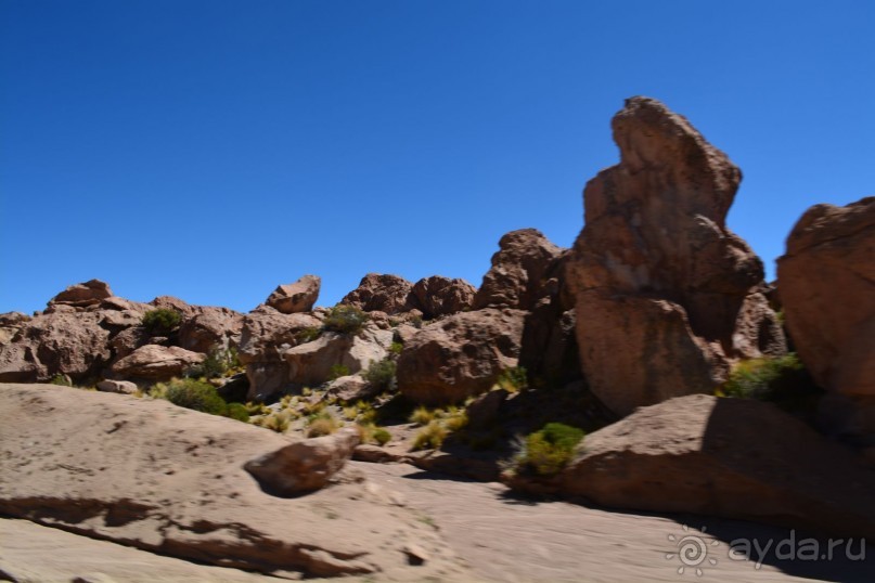 За снегом в Южную Америку. 2. Боливия. 2.3 Альтиплано – Потоси