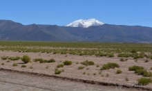 За снегом в Южную Америку. 2. Боливия. 2.3 Альтиплано – Потоси