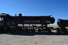 За снегом в Южную Америку. 2. Боливия. 2.3 Альтиплано – Потоси