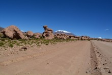 За снегом в Южную Америку. 2. Боливия. 2.3 Альтиплано – Потоси