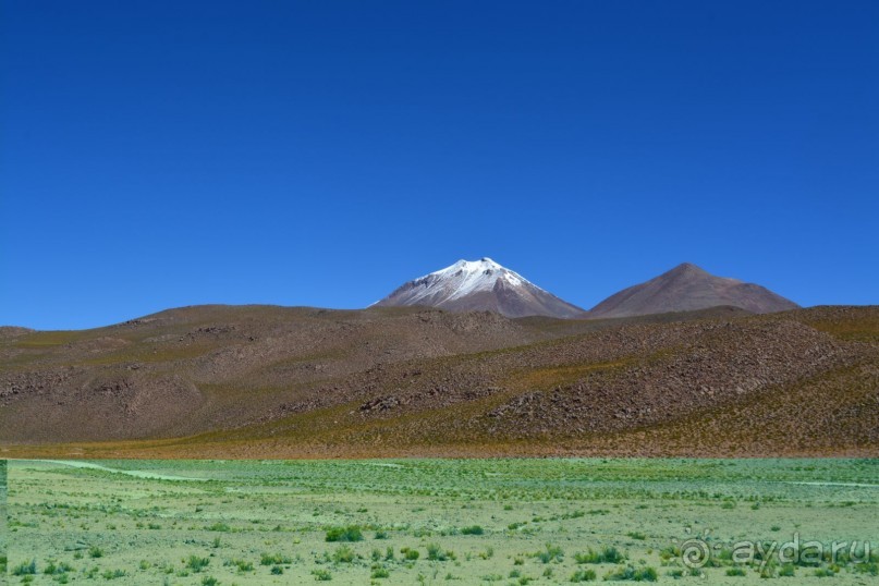 За снегом в Южную Америку. 2. Боливия. 2.3 Альтиплано – Потоси