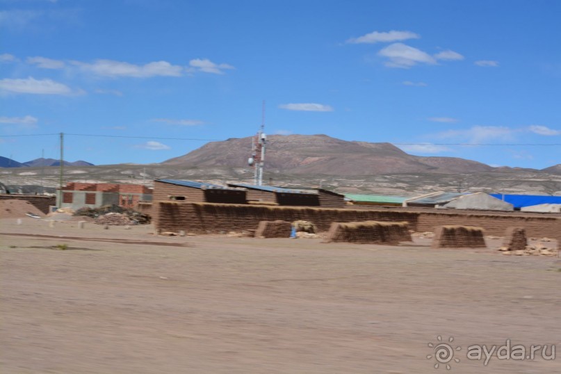 За снегом в Южную Америку. 2. Боливия. 2.3 Альтиплано – Потоси