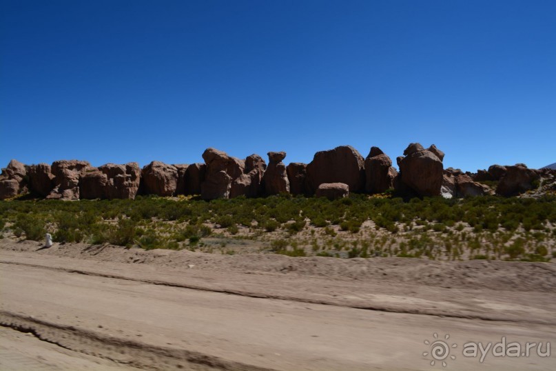 За снегом в Южную Америку. 2. Боливия. 2.3 Альтиплано – Потоси