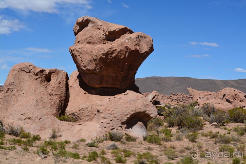 За снегом в Южную Америку. 2. Боливия. 2.3 Альтиплано – Потоси