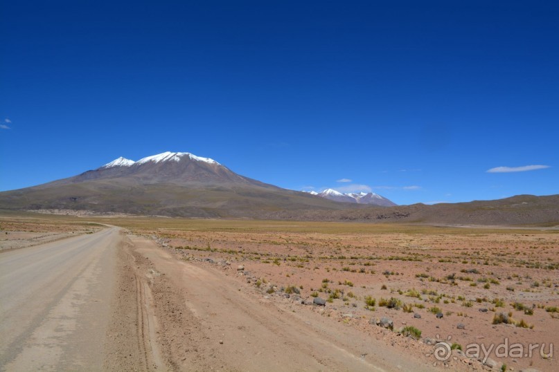 За снегом в Южную Америку. 2. Боливия. 2.3 Альтиплано – Потоси