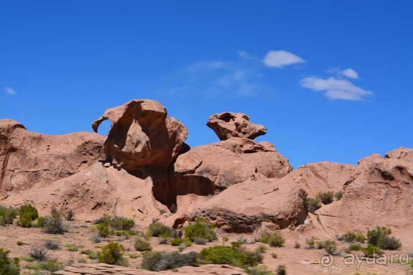 За снегом в Южную Америку. 2. Боливия. 2.3 Альтиплано – Потоси