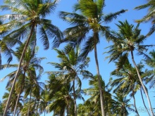 Бразилия по-простому. 15. Пляж Панаý.