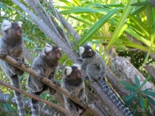 Бразилия по-простому. 15. Пляж Панаý.