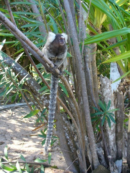Бразилия по-простому. 15. Пляж Панаý.