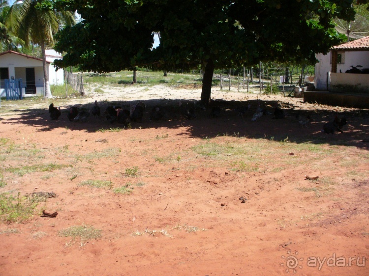 Бразилия по-простому. 15. Пляж Панаý.