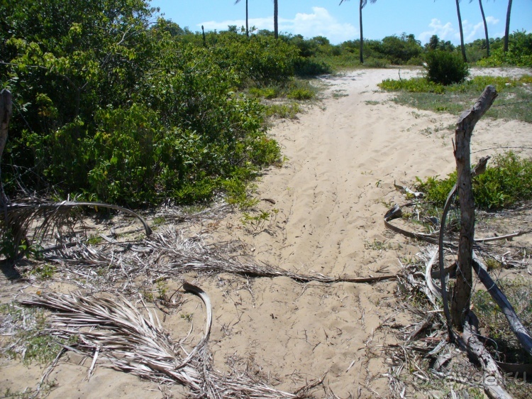 Бразилия по-простому. 15. Пляж Панаý.