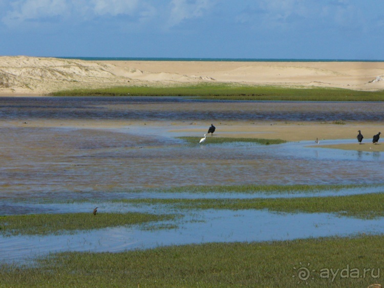 Бразилия по-простому. 15. Пляж Панаý.