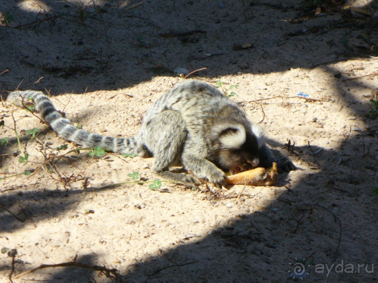 Бразилия по-простому. 15. Пляж Панаý.