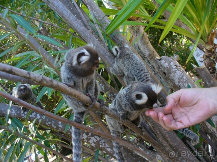 Бразилия по-простому. 15. Пляж Панаý.