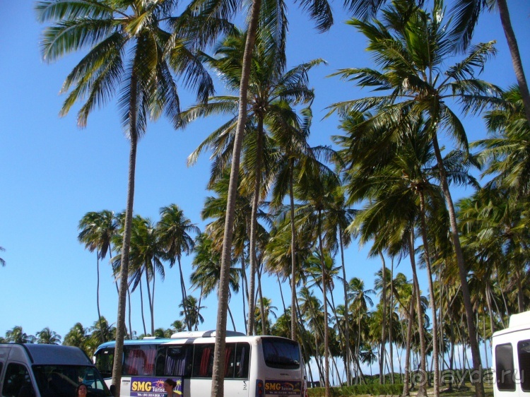Бразилия по-простому. 15. Пляж Панаý.