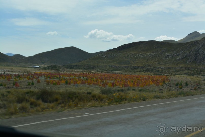 За снегом в Южную Америку. 2. Боливия. 2.4. Потоси - Ла Пас