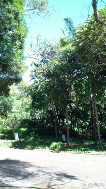 Бразилия по-простому. 16. Два последних дня в Бразилии