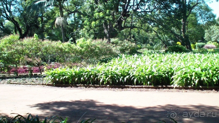 Бразилия по-простому. 16. Два последних дня в Бразилии