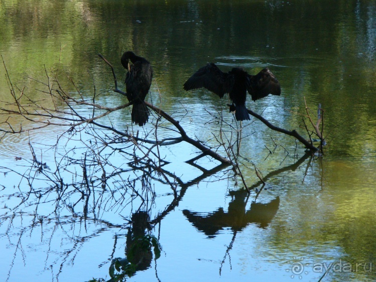 Бразилия по-простому. 16. Два последних дня в Бразилии