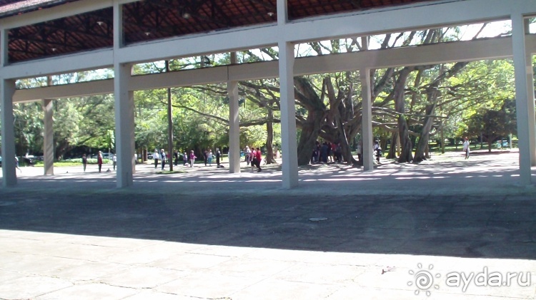 Бразилия по-простому. 16. Два последних дня в Бразилии