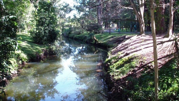 Бразилия по-простому. 16. Два последних дня в Бразилии