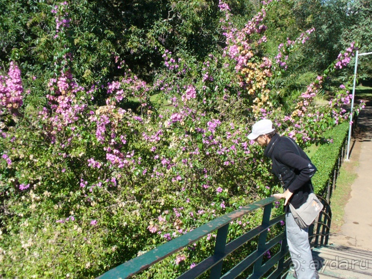 Бразилия по-простому. 16. Два последних дня в Бразилии