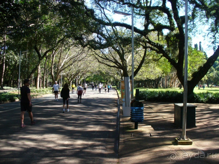 Бразилия по-простому. 16. Два последних дня в Бразилии