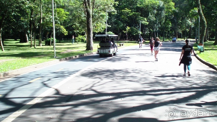 Бразилия по-простому. 16. Два последних дня в Бразилии