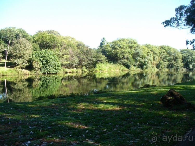Бразилия по-простому. 16. Два последних дня в Бразилии
