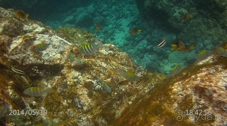 Живая Бразилия. Часть 4/1. Штат Pernambuco.